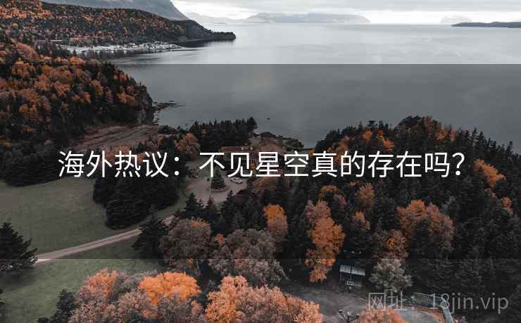 海外热议：不见星空真的存在吗？  第2张